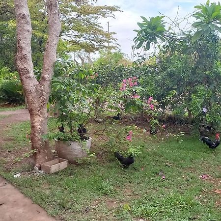 Chacara Pousada Sagui Cuiabá Zewnętrze zdjęcie